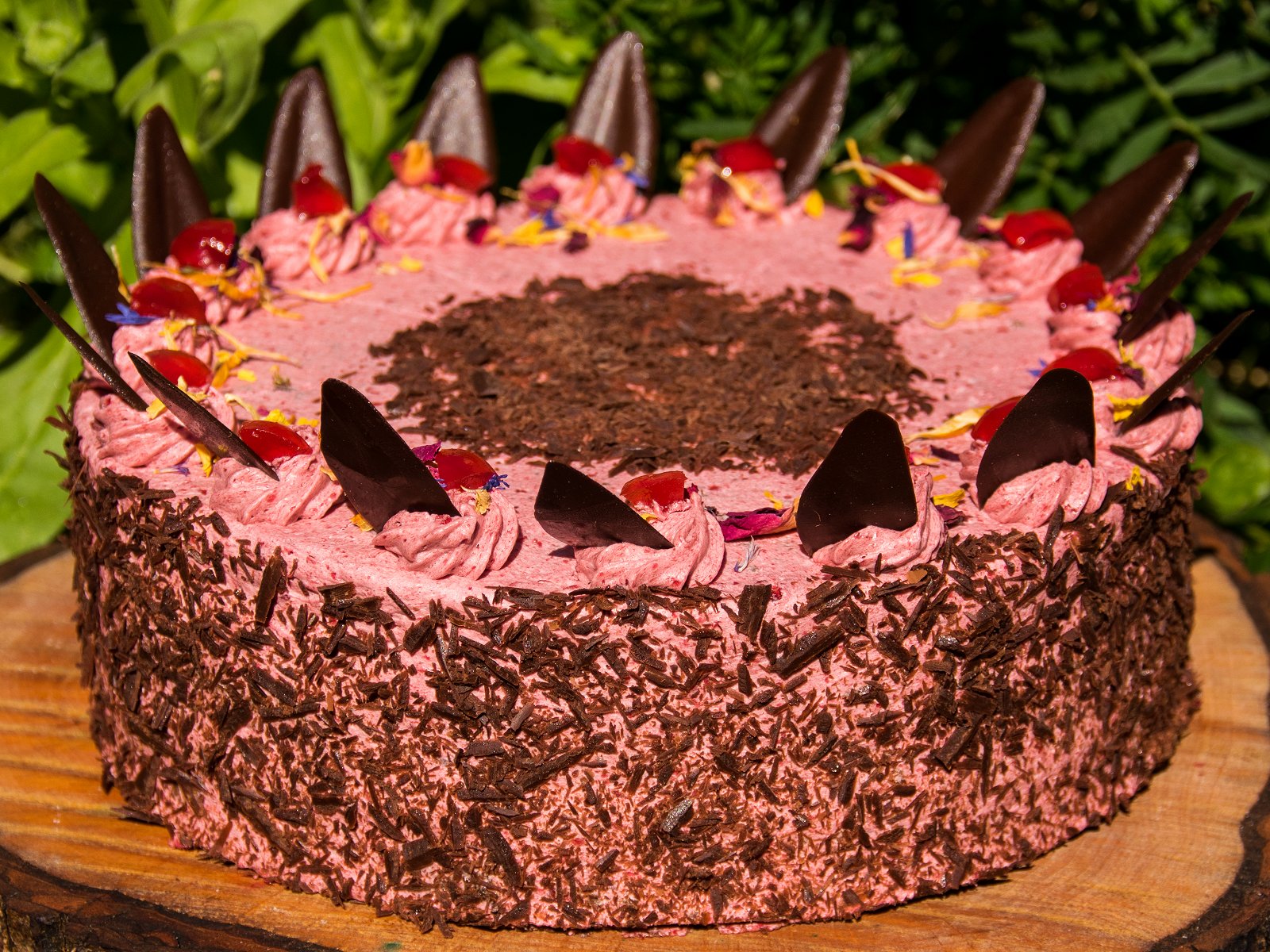 SCHOKO-KIRSCH-TORTE